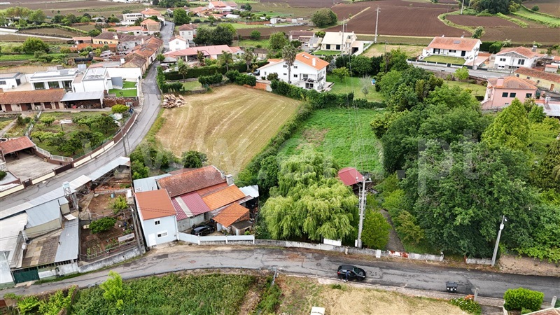 Terreno para Construção / Estarreja, Beduído e Veiros