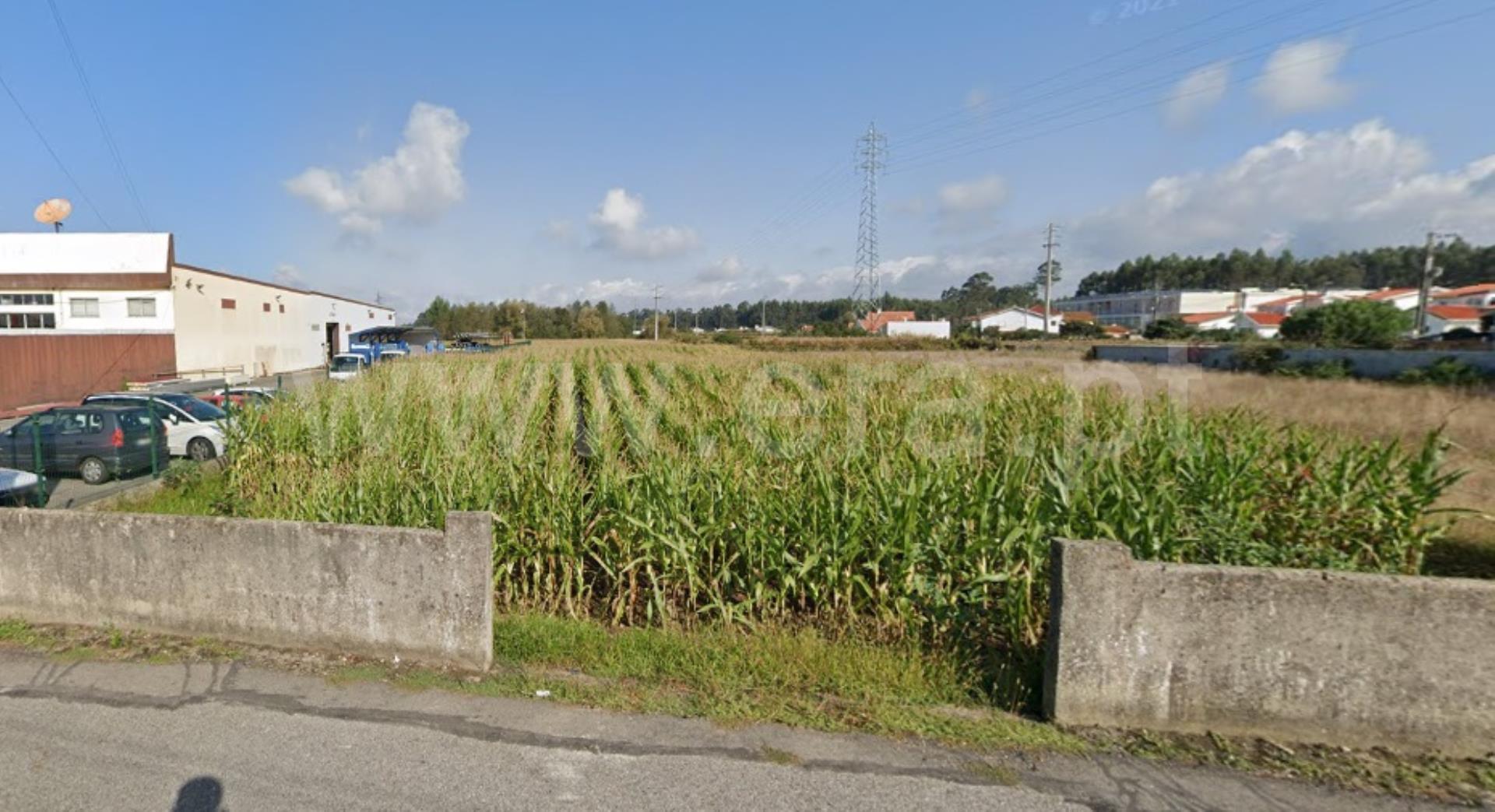 Land for sale in Estarreja, Portugal — €74,000