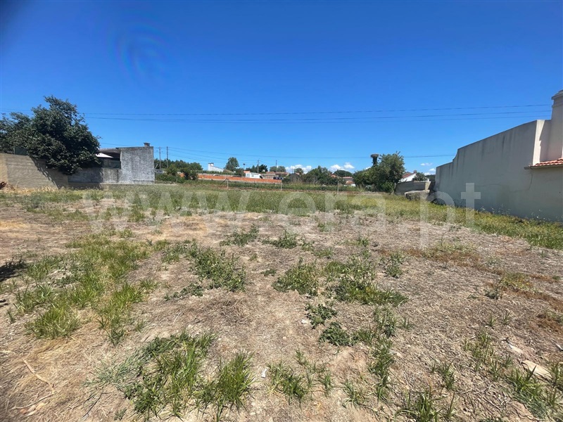 Terreno para Construção / Estarreja, Cavada - Salreu