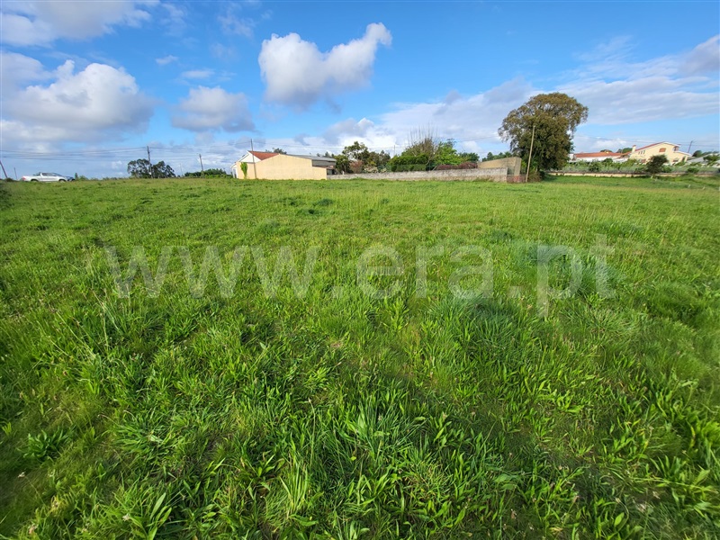 Terreno para Construção / Estarreja, Entre Vinhas