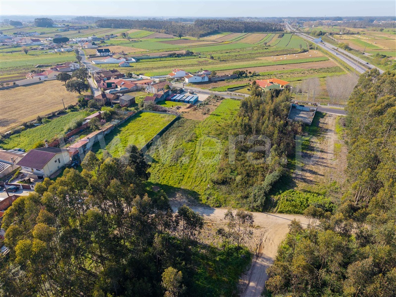Terreno para Construção / Estarreja, Estarreja