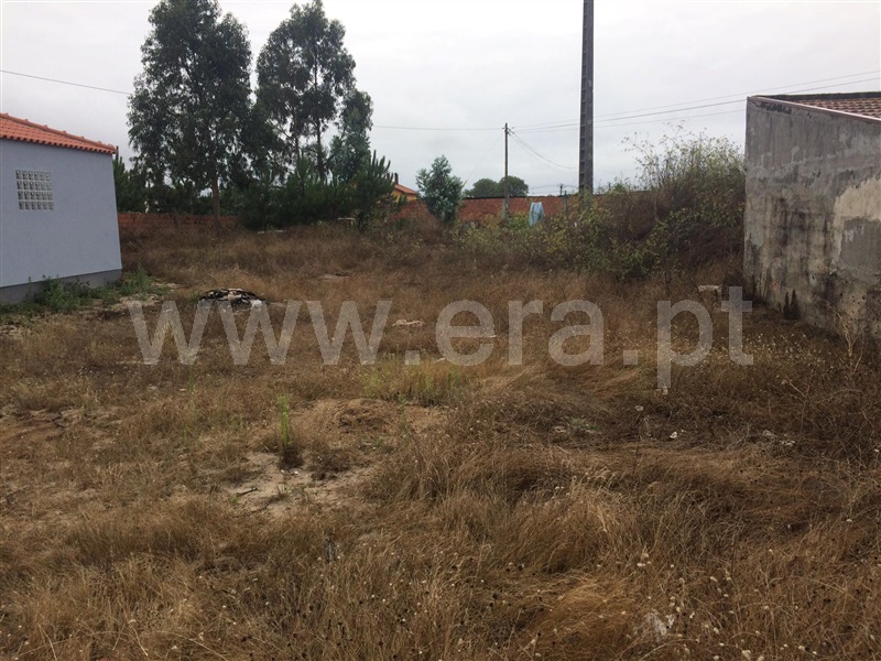 Terreno para Construção  Estarreja, Igreja - Centro - 1121954 - 2