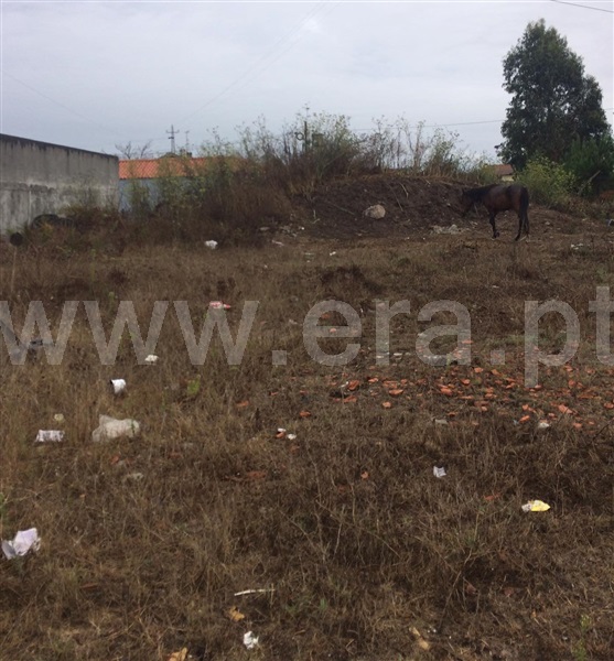 Terreno para Construção  Estarreja, Igreja - Centro - 1121954 - 3