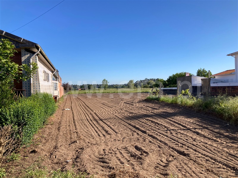 Terreno para Construção / Estarreja, Monte de Baixo