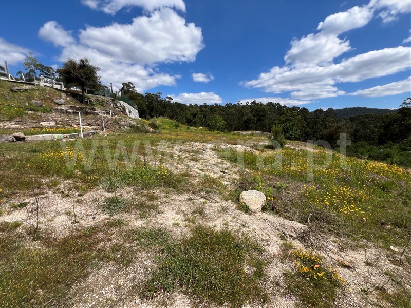 Terreno  Fafe, Antime e Silvares (São Clemente) - 1479778 - 2