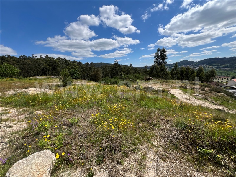 Terreno  Fafe, Antime e Silvares (São Clemente) - 1479778 - 4