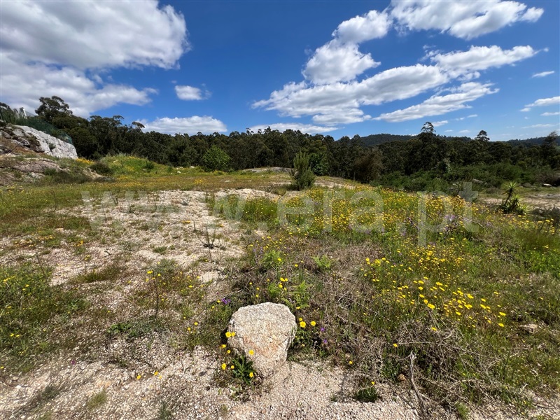 Terreno  Fafe, Antime e Silvares (São Clemente) - 1479778 - 5