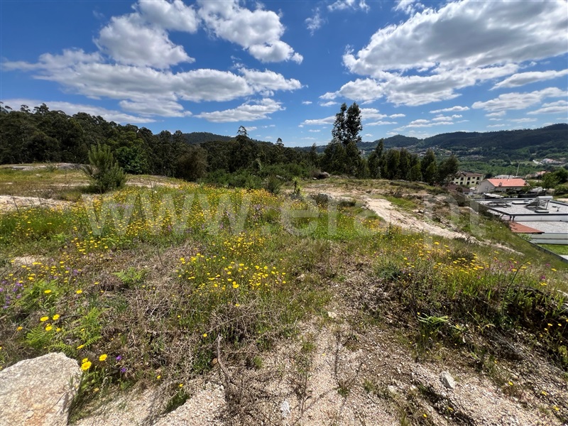 Terreno para Construção / Fafe, Antime e Silvares (São Clemente)