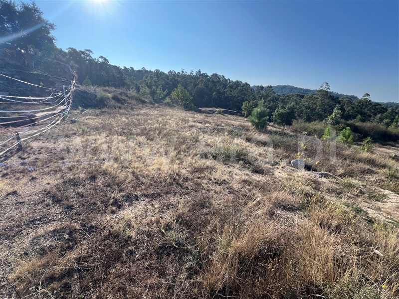 Terreno para Construção  Fafe, Antime e Silvares (São Clemente) - 1479778 - 2