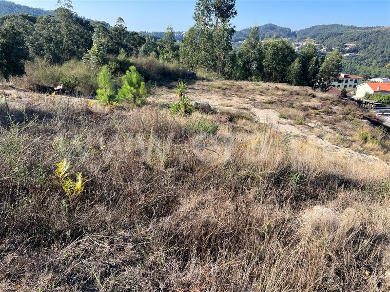 Terreno para Construção  Fafe, Antime e Silvares (São Clemente) - 1479778 - 5
