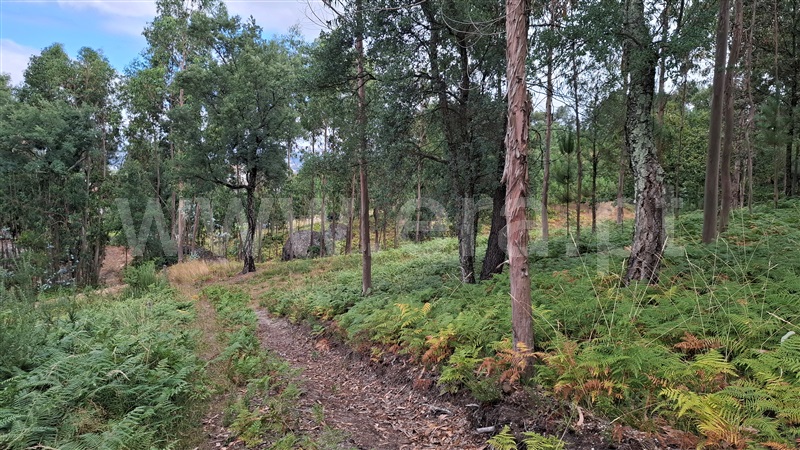 Terreno para Construção  Fafe, Antime e Silvares (São Clemente) - 1495720 - 2