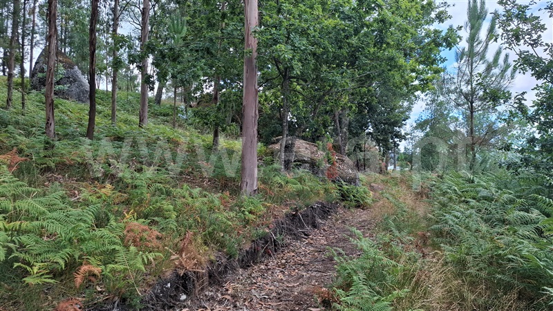 Terreno para Construção  Fafe, Antime e Silvares (São Clemente) - 1495720 - 3