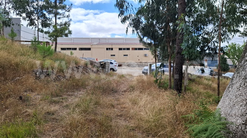 Terreno para Construção  Fafe, Antime e Silvares (São Clemente) - 1495720 - 5