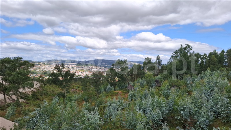 Terreno para Construção / Fafe, Antime e Silvares (São Clemente)