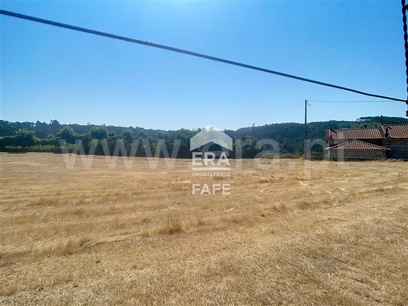 Terreno para Construção  Fafe, Ardegão, Arnozela e Seidões - 1498321 - 4