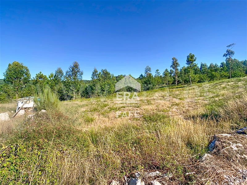 Terreno para Construção  Fafe, Ardegão, Arnozela e Seidões - 1505259 - 11