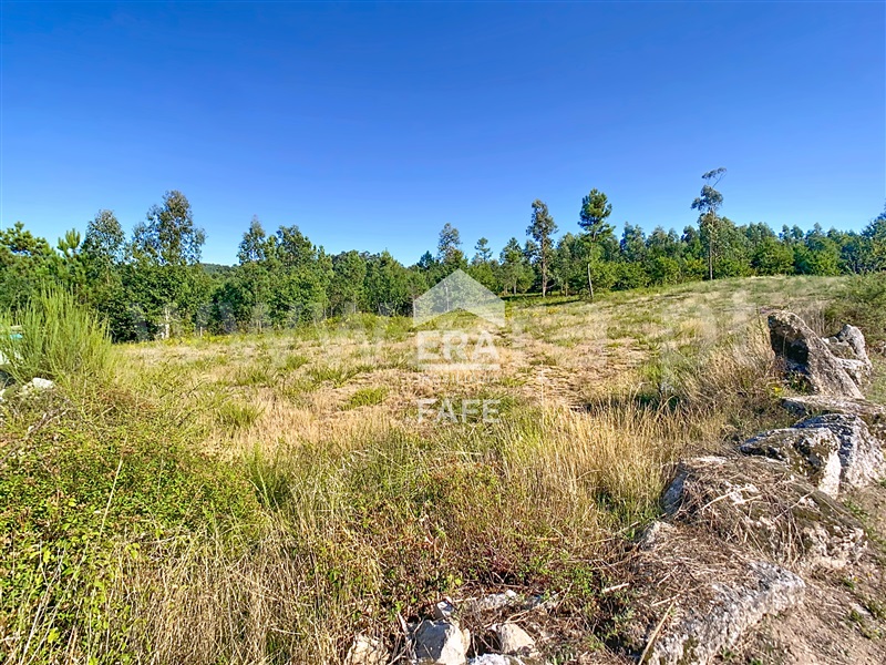Terreno para Construção  Fafe, Ardegão, Arnozela e Seidões - 1505285 - 13