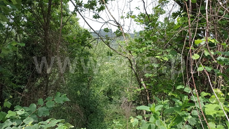 Terreno para Construção  Fafe, Armil - 1335666 - 3
