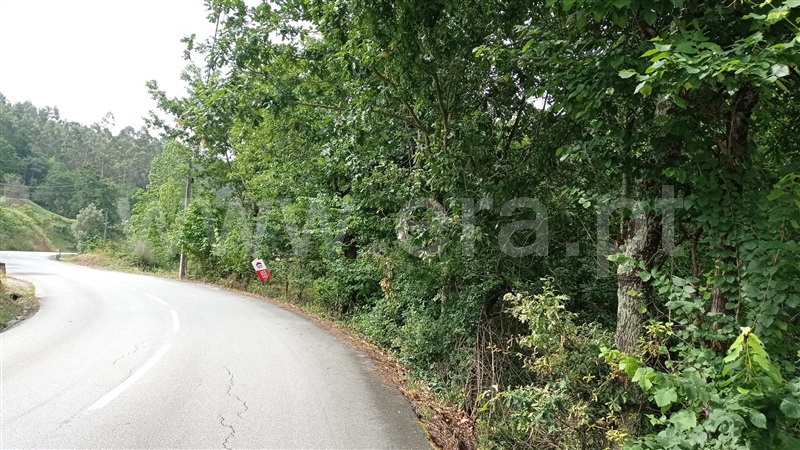 Terreno para Construção  Fafe, Armil - 1335666 - 5