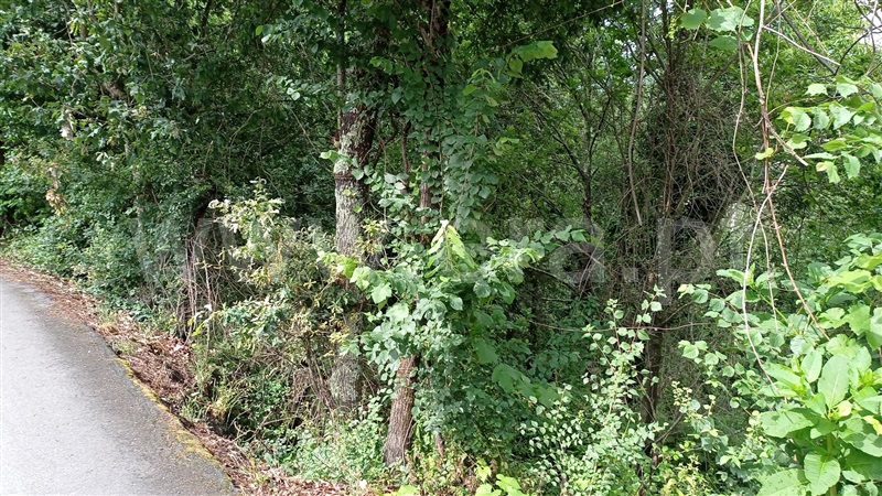 Terreno para Construção  Fafe, Armil - 1335666 - 6