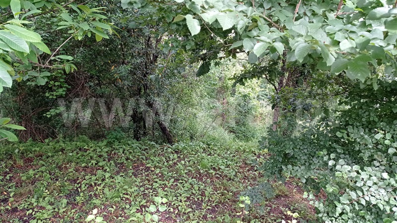 Terreno para Construção  Fafe, Armil - 1335666 - 8