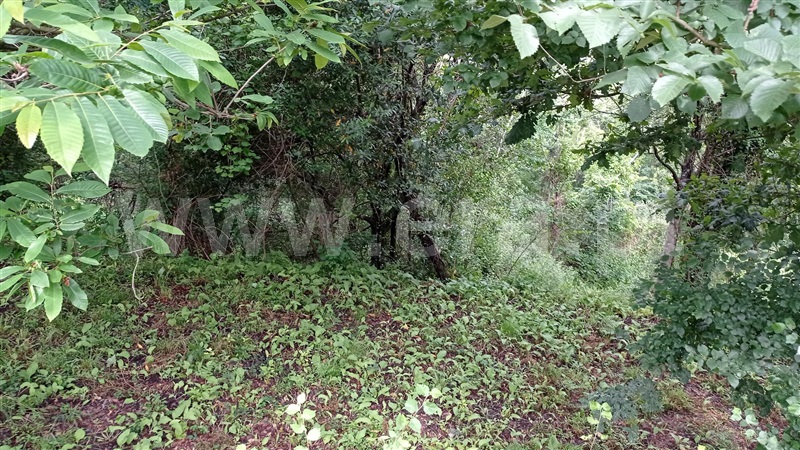 Terreno para Construção  Fafe, Armil - 1335666 - 9