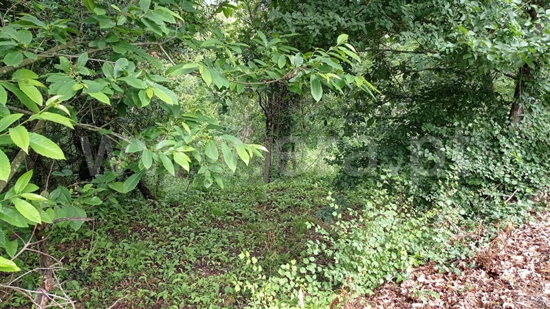 Terreno para Construção  Fafe, Armil - 1335666 - 10