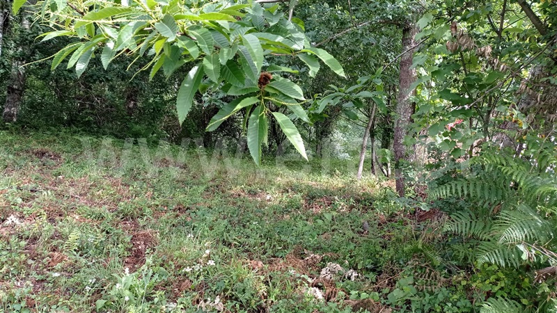 Terreno para Construção  Fafe, Armil - 1335666 - 12