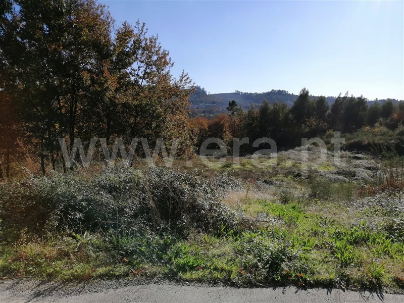 Terreno para Construção  Fafe, Arões (Santa Cristina) - 571631 - 2