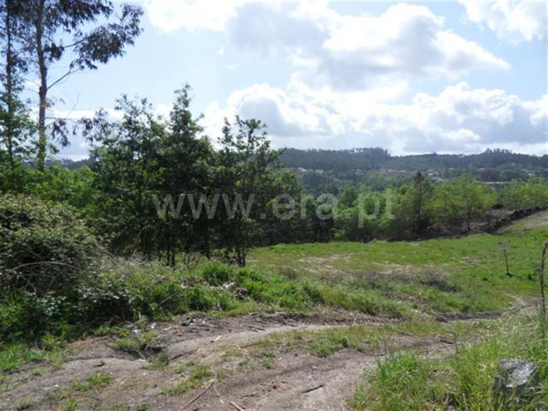 Terreno para Construção  Fafe, Arões (Santa Cristina) - 571631 - 5