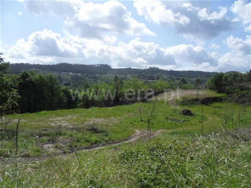 Terreno para Construção  Fafe, Arões (Santa Cristina) - 571631 - 3