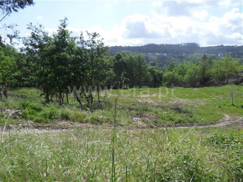 Terreno para Construção  Fafe, Arões (Santa Cristina) - 571631 - 7
