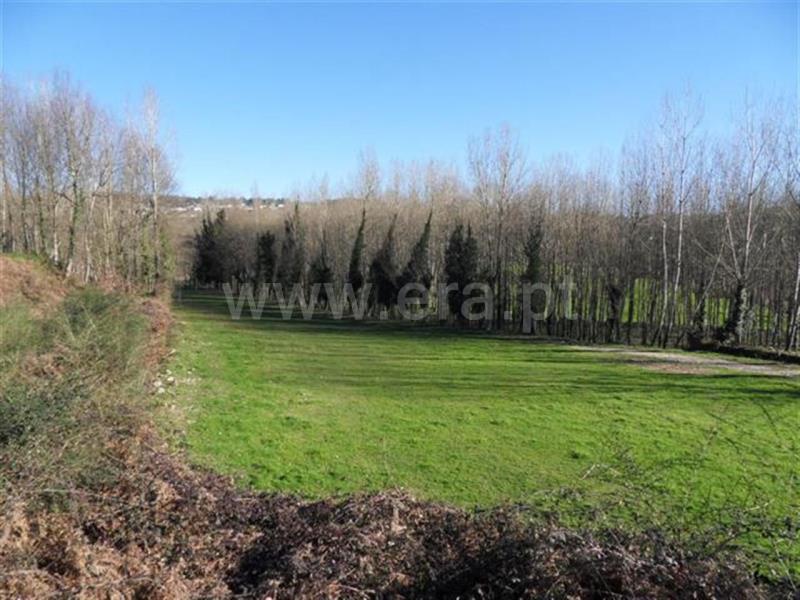 Terreno para Construção  Fafe, Arões (Santa Cristina) - 631228 - 5