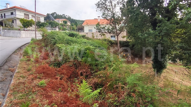 Terreno  Fafe, Arões (São Romão) - 1345106 - 5