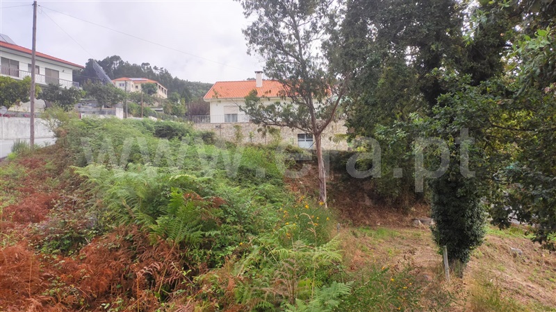 Terreno  Fafe, Arões (São Romão) - 1345106 - 11