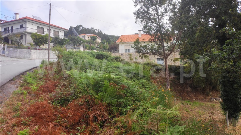 Terreno  Fafe, Arões (São Romão) - 1345106 - 12