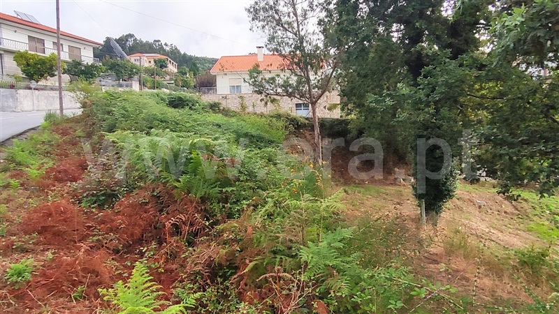 Terreno  Fafe, Arões (São Romão) - 1345106 - 15
