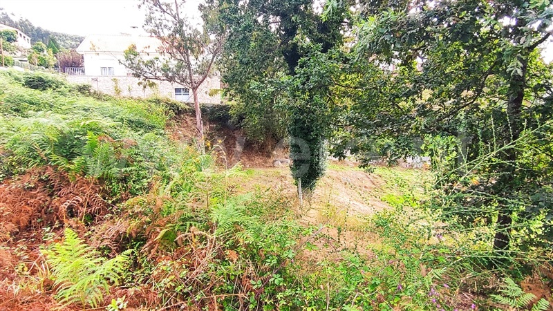 Terreno  Fafe, Arões (São Romão) - 1345106 - 16