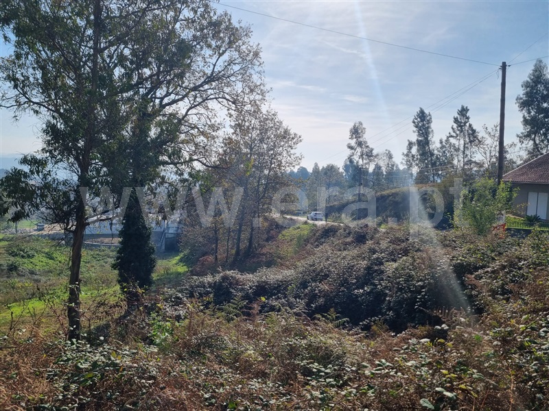 Terreno para Construção  Fafe, Arões (São Romão) - 1345106 - 21