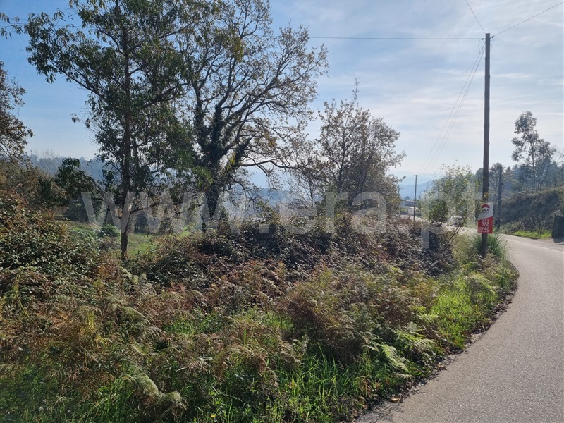 Terreno para Construção  Fafe, Arões (São Romão) - 1345106 - 23