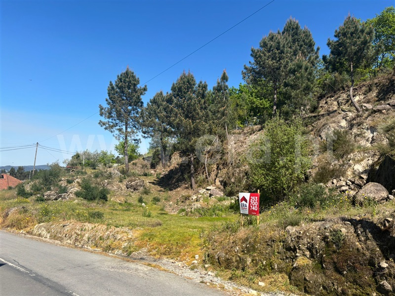 Terreno / Fafe, Cepães e Fareja