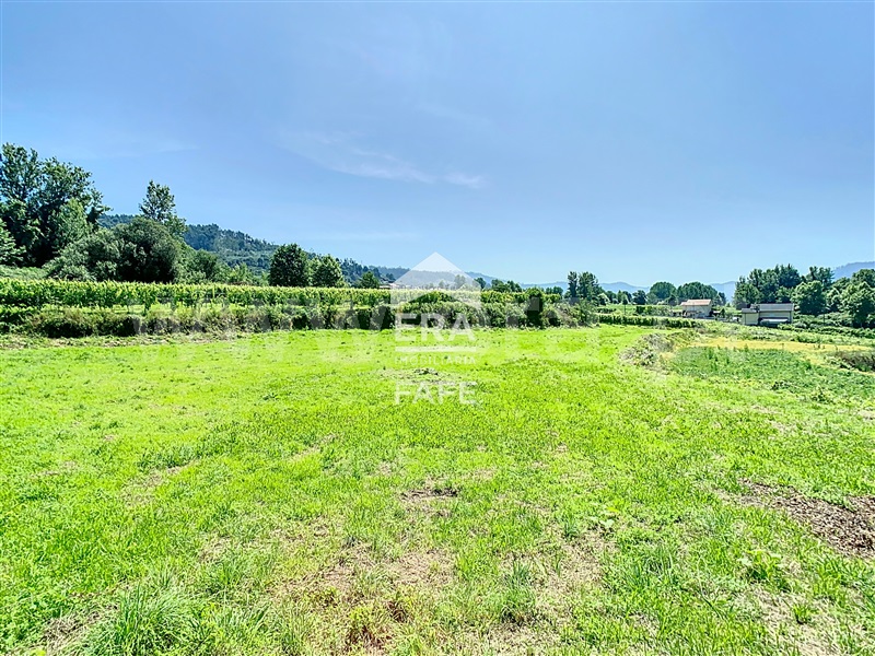 Terreno para Construção  Fafe, Cepães e Fareja - 991641 - 5