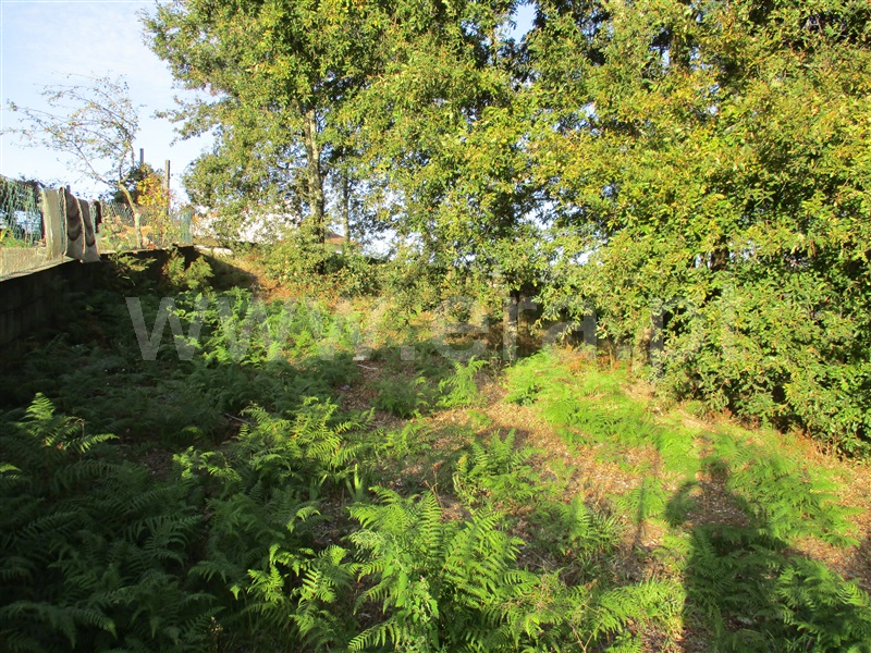 Terreno para Construção  Fafe, Estorãos - 1042537 - 4