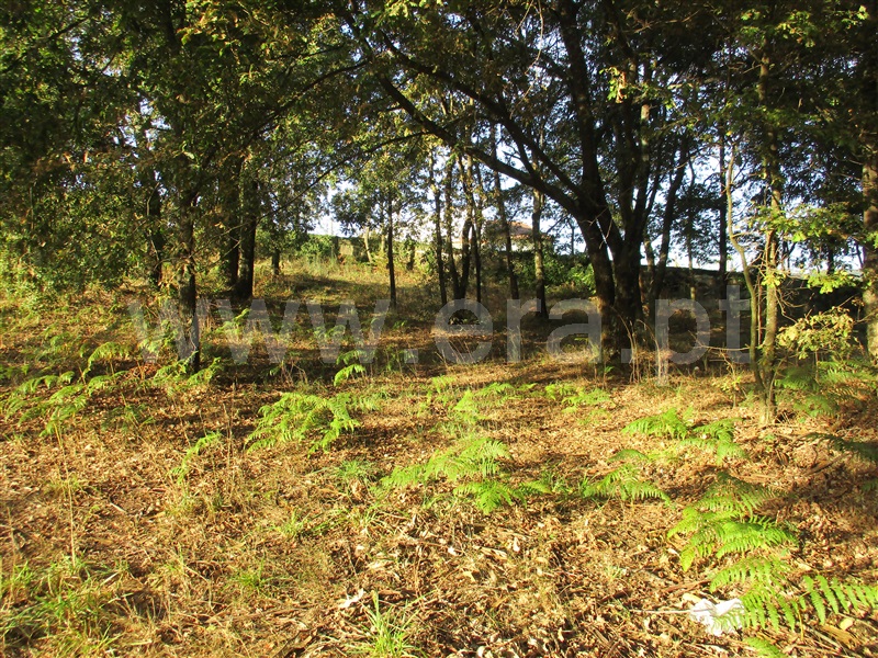 Terreno para Construção  Fafe, Estorãos - 1042537 - 3