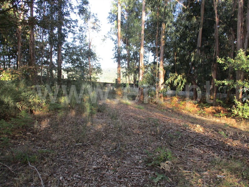 Terreno para Construção  Fafe, Estorãos - 1042537 - 5