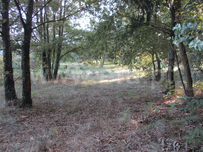 Terreno para Construção  Fafe, Estorãos - 1042537 - 6