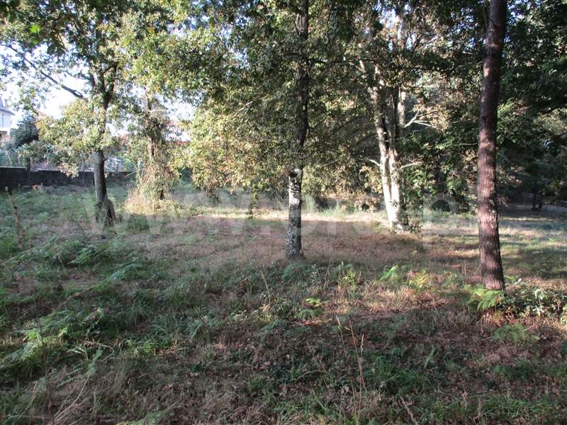 Terreno para Construção  Fafe, Estorãos - 1042537 - 9