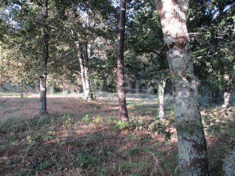 Terreno para Construção  Fafe, Estorãos - 1042537 - 10