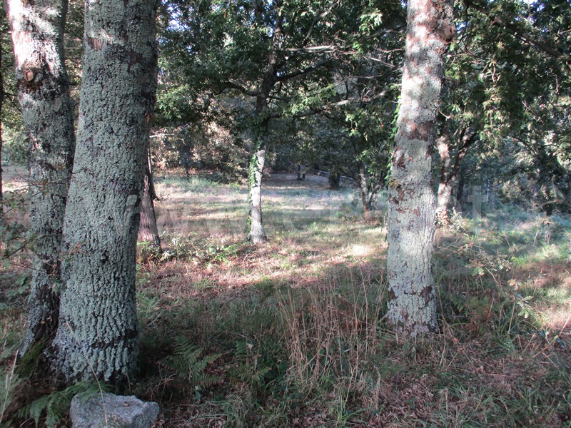 Terreno para Construção  Fafe, Estorãos - 1042537 - 11