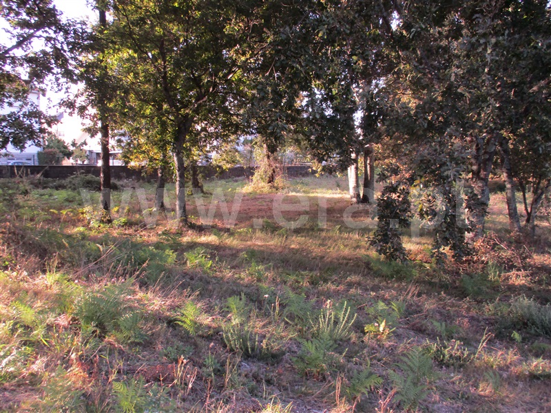 Terreno para Construção  Fafe, Estorãos - 1042537 - 12